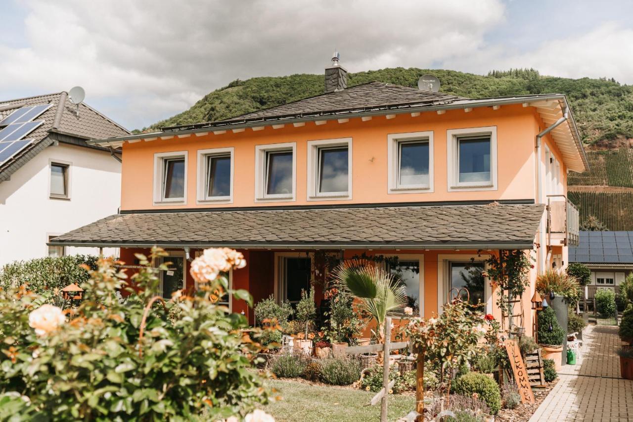 Wein- Und Gaestehaus Schwaab&Sohn Erden Exterior foto