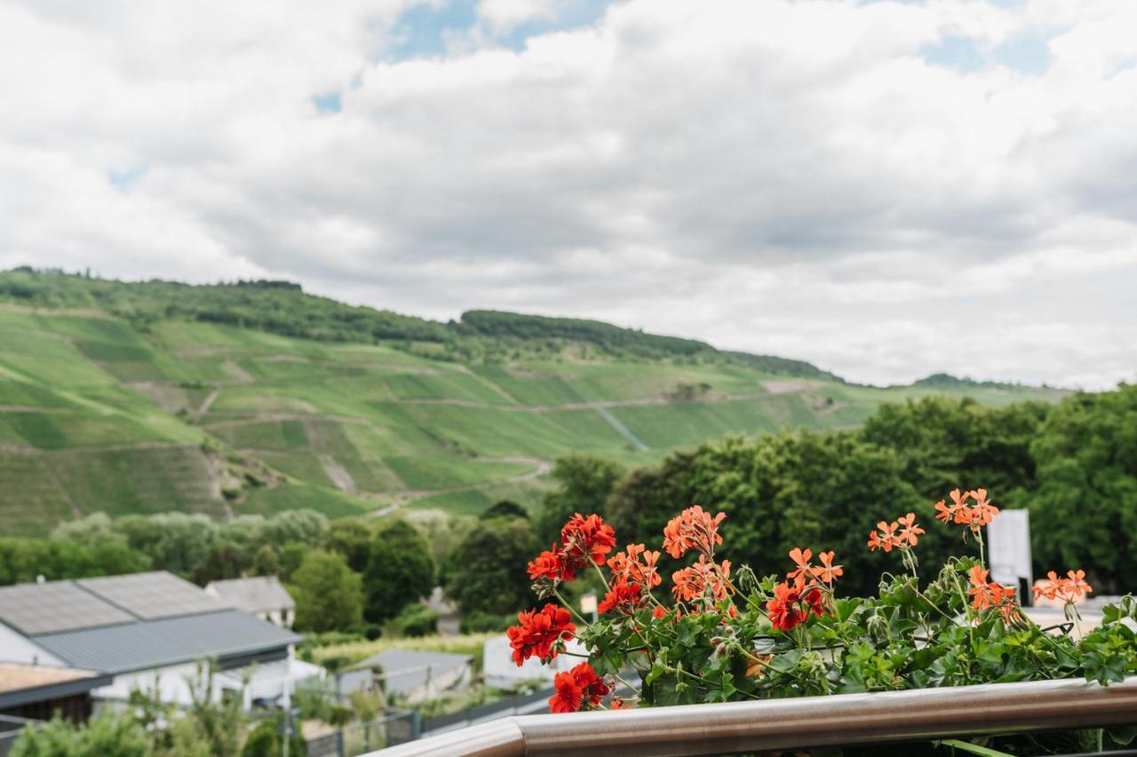 Wein- Und Gaestehaus Schwaab&Sohn Erden Exterior foto